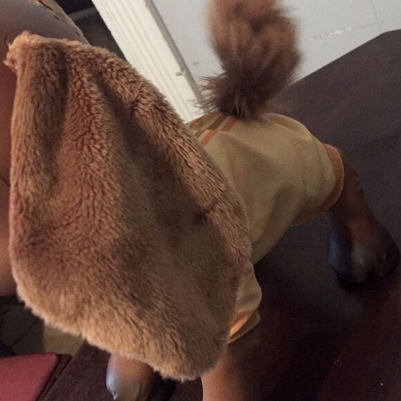 Disney Wish Talking Valentino - Picture 4 of 6